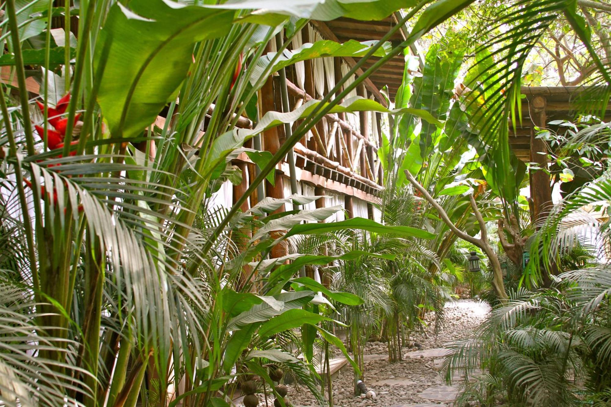 Canaima Chill House Playa Santa Teresa  Экстерьер фото