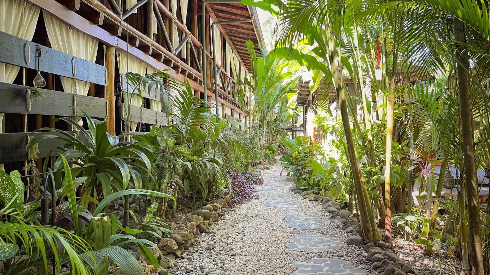 Canaima Chill House Playa Santa Teresa  Экстерьер фото